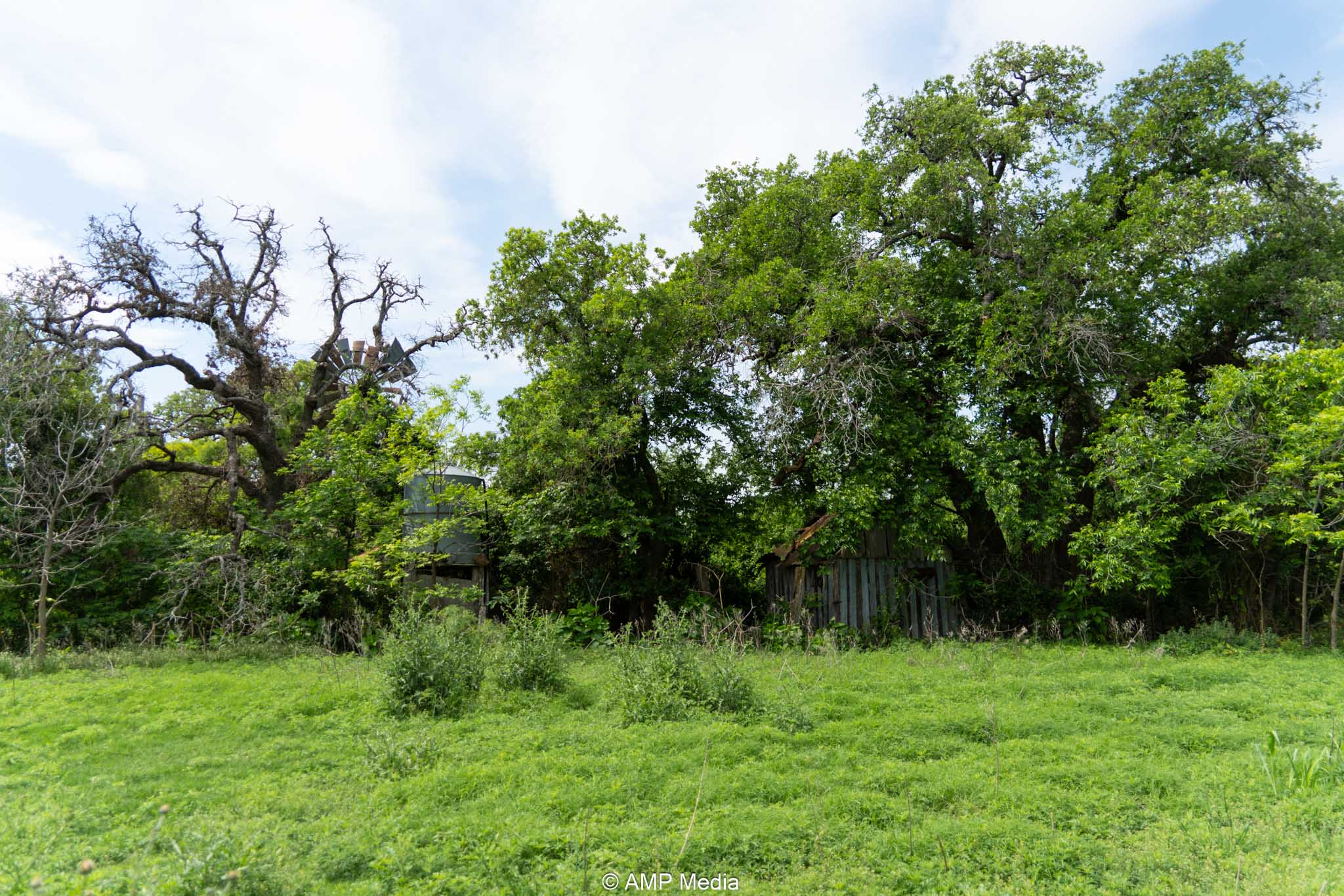 Property Photo 09 Property photograph 09
