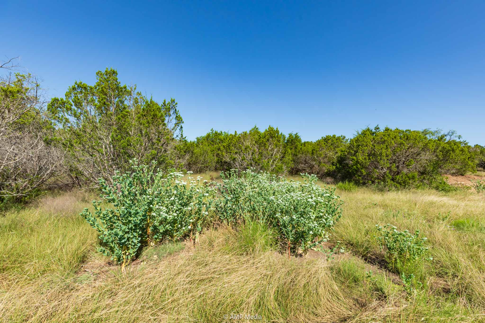 Property Photo 09 Property photograph 09