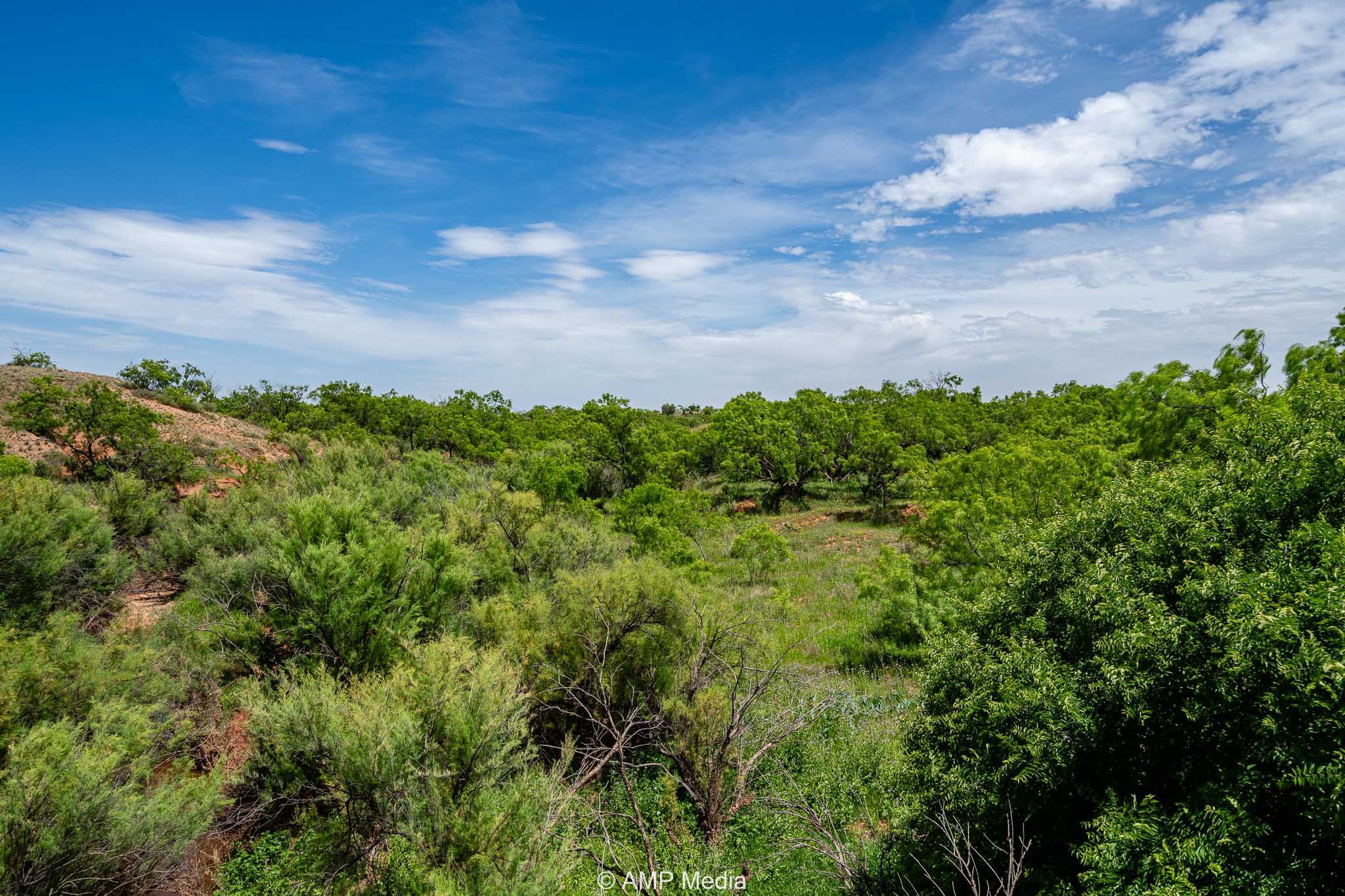 Property Photo 09 Property photograph 09