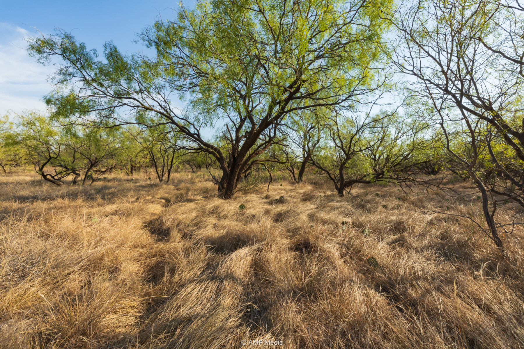 Property Photo 09 Property photograph 09