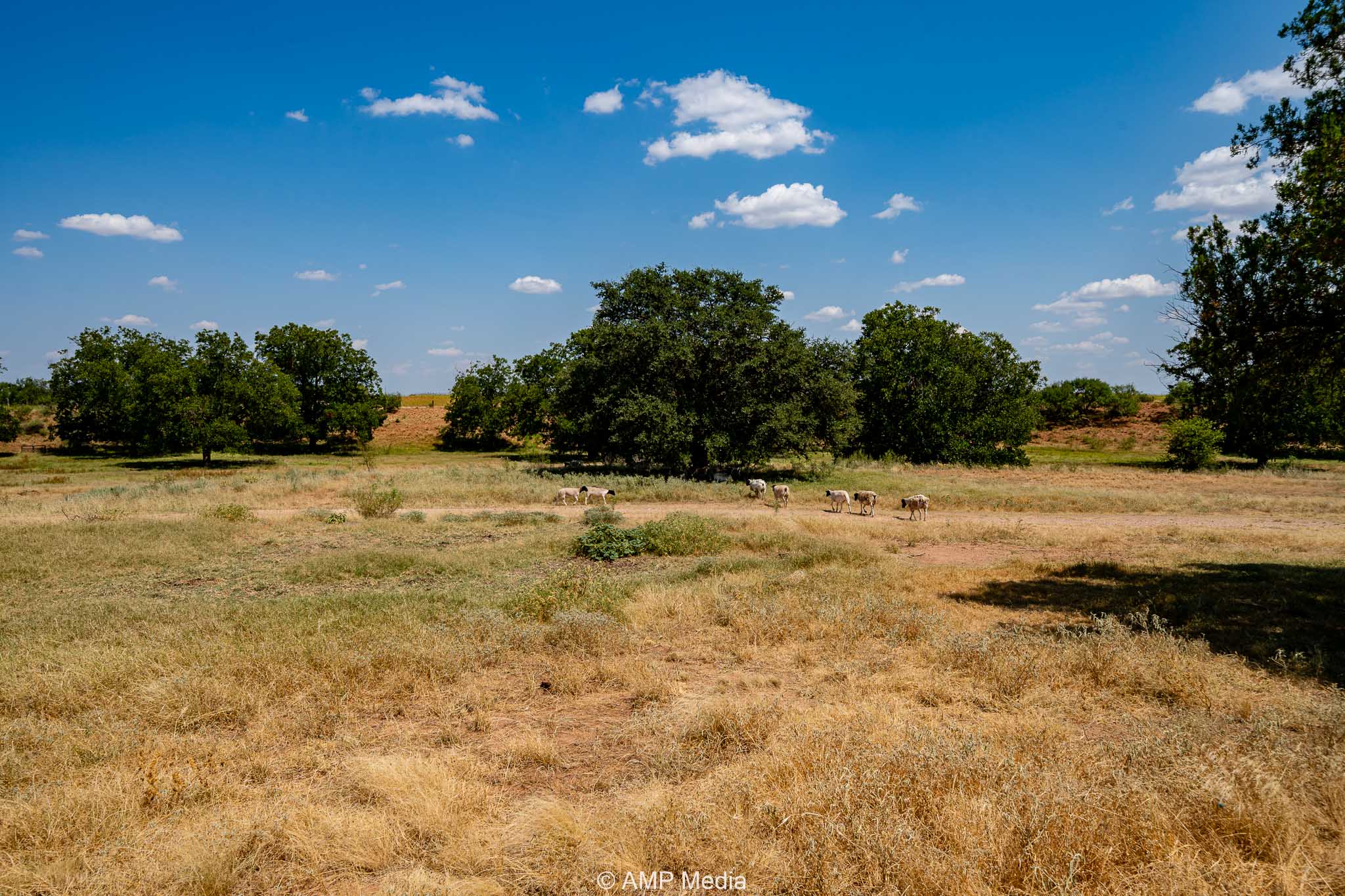 Property Photo 92 Property photograph 92