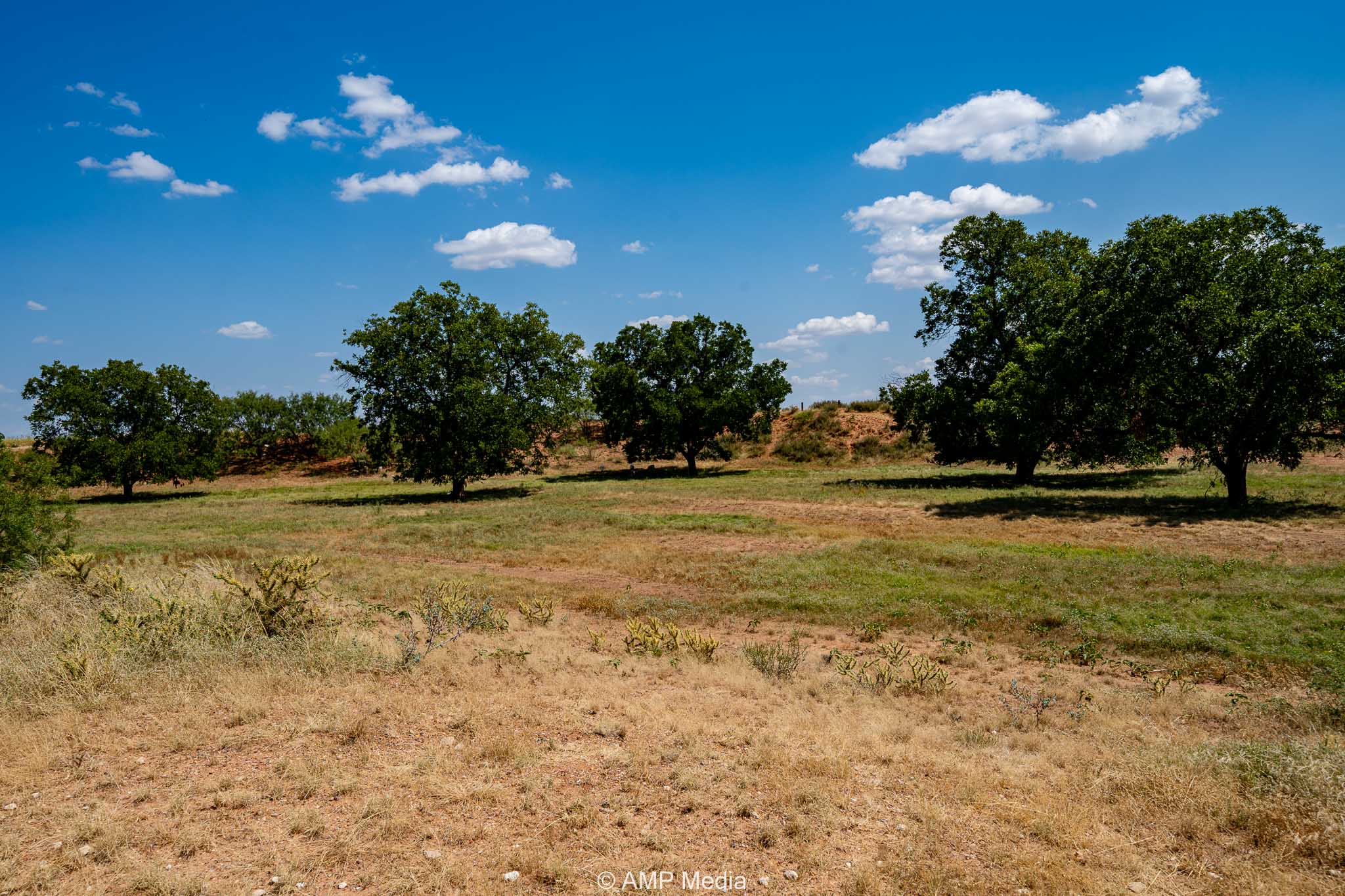 Property Photo 93 Property photograph 93