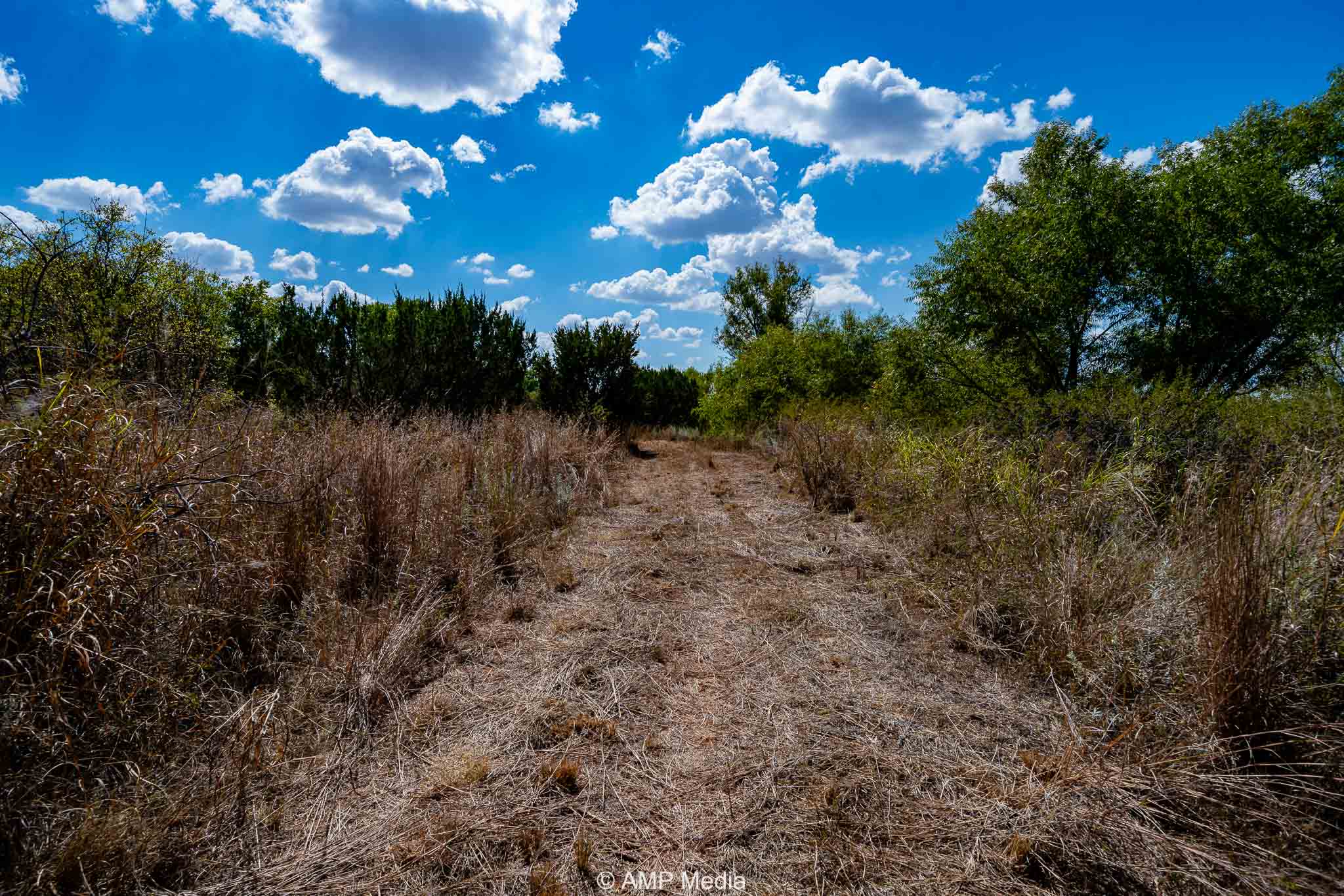 Property Photo 96 Property photograph 96