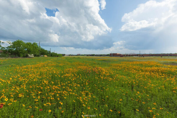 Property photograph 01