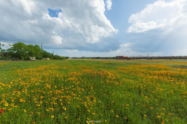 Property photograph 01