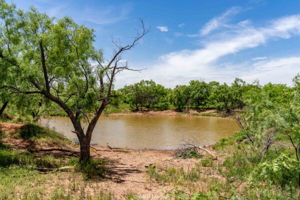 Property photograph 01