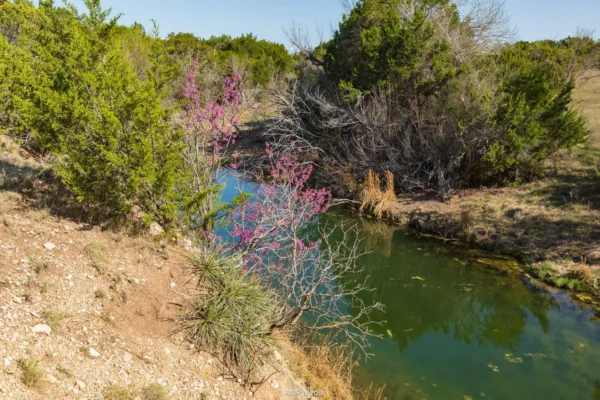 West Texas Weekend Escapes