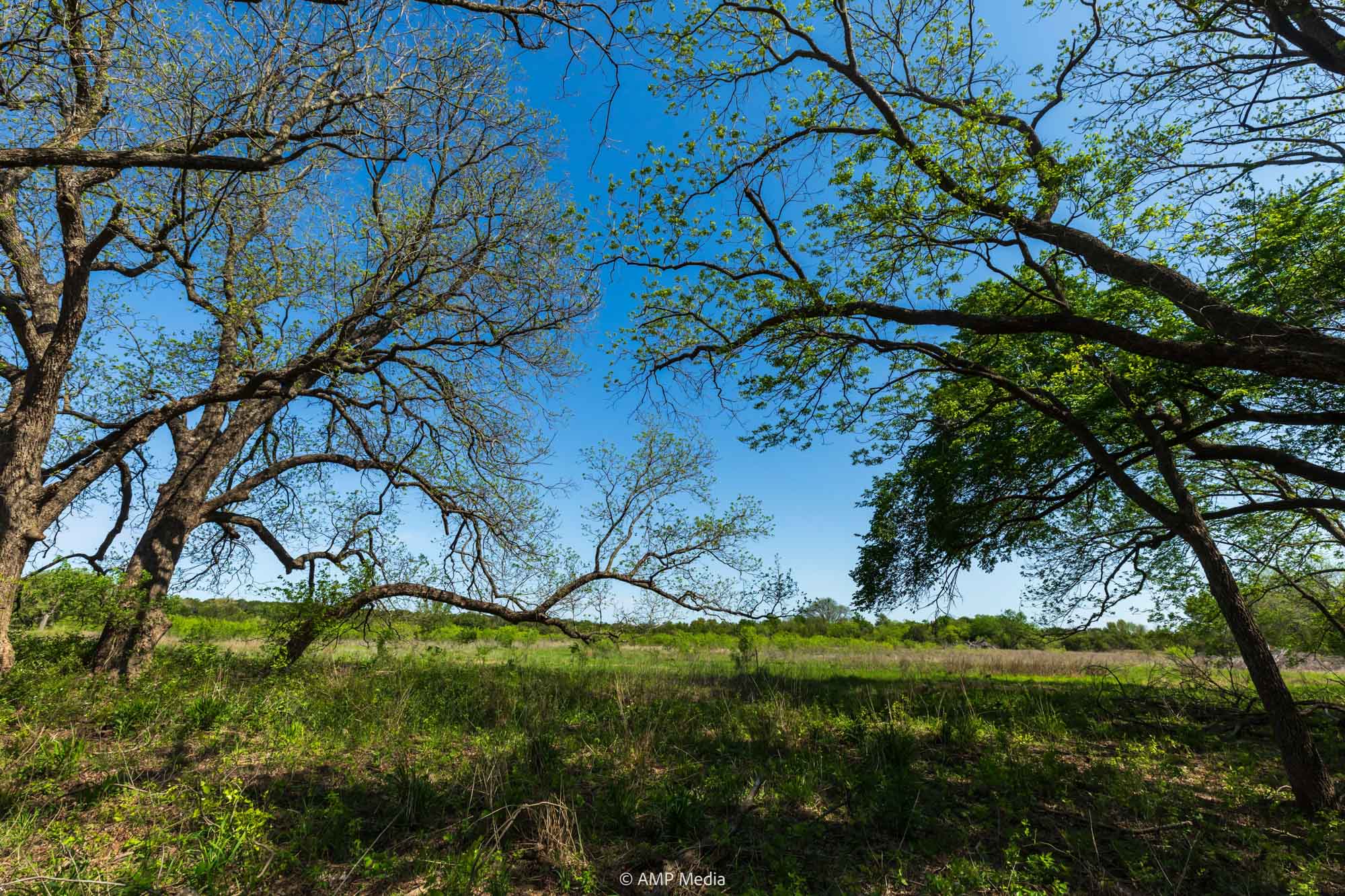 Property Photo 12 Property photograph 12