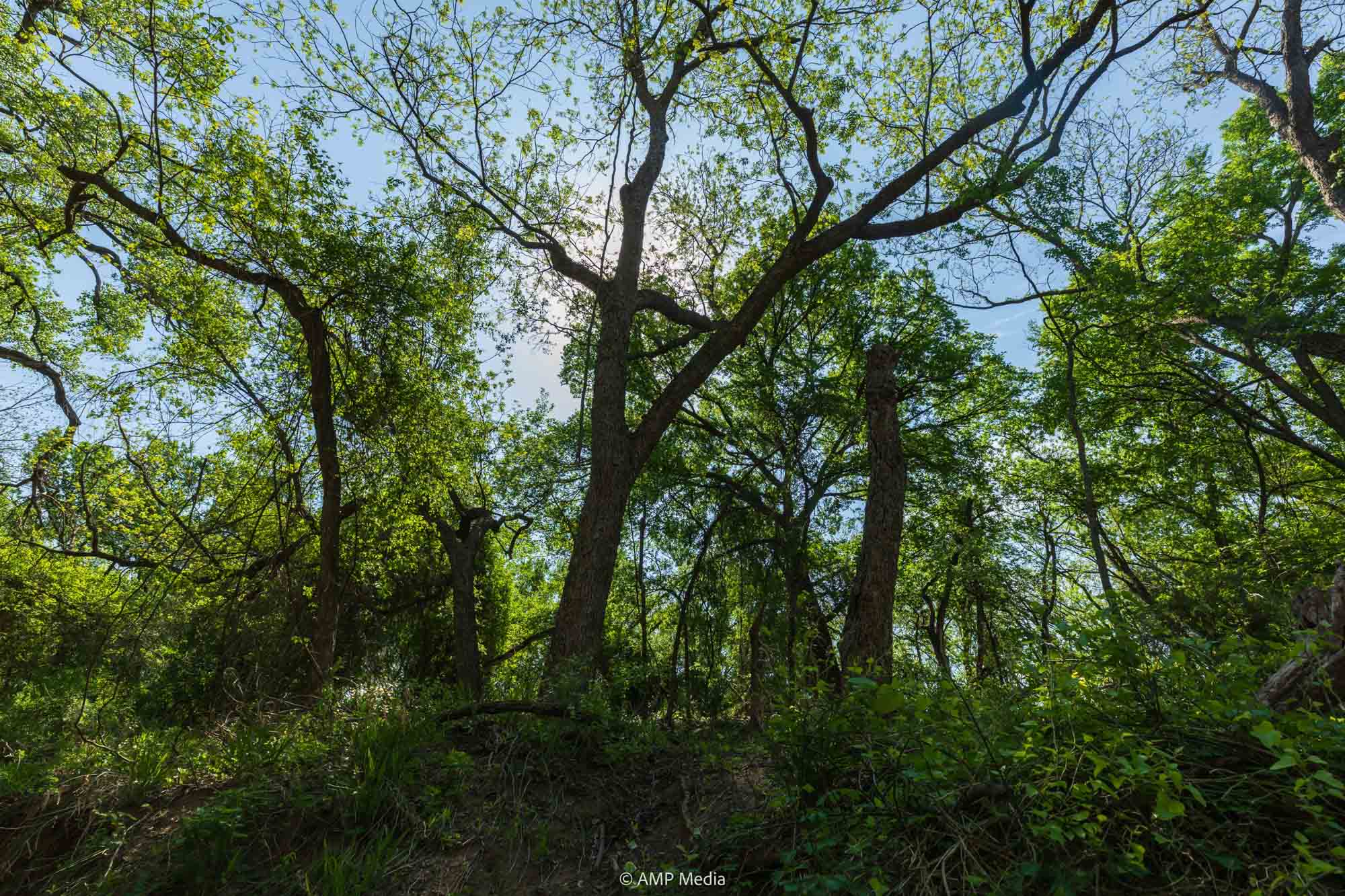 Property Photo 16 Property photograph 16