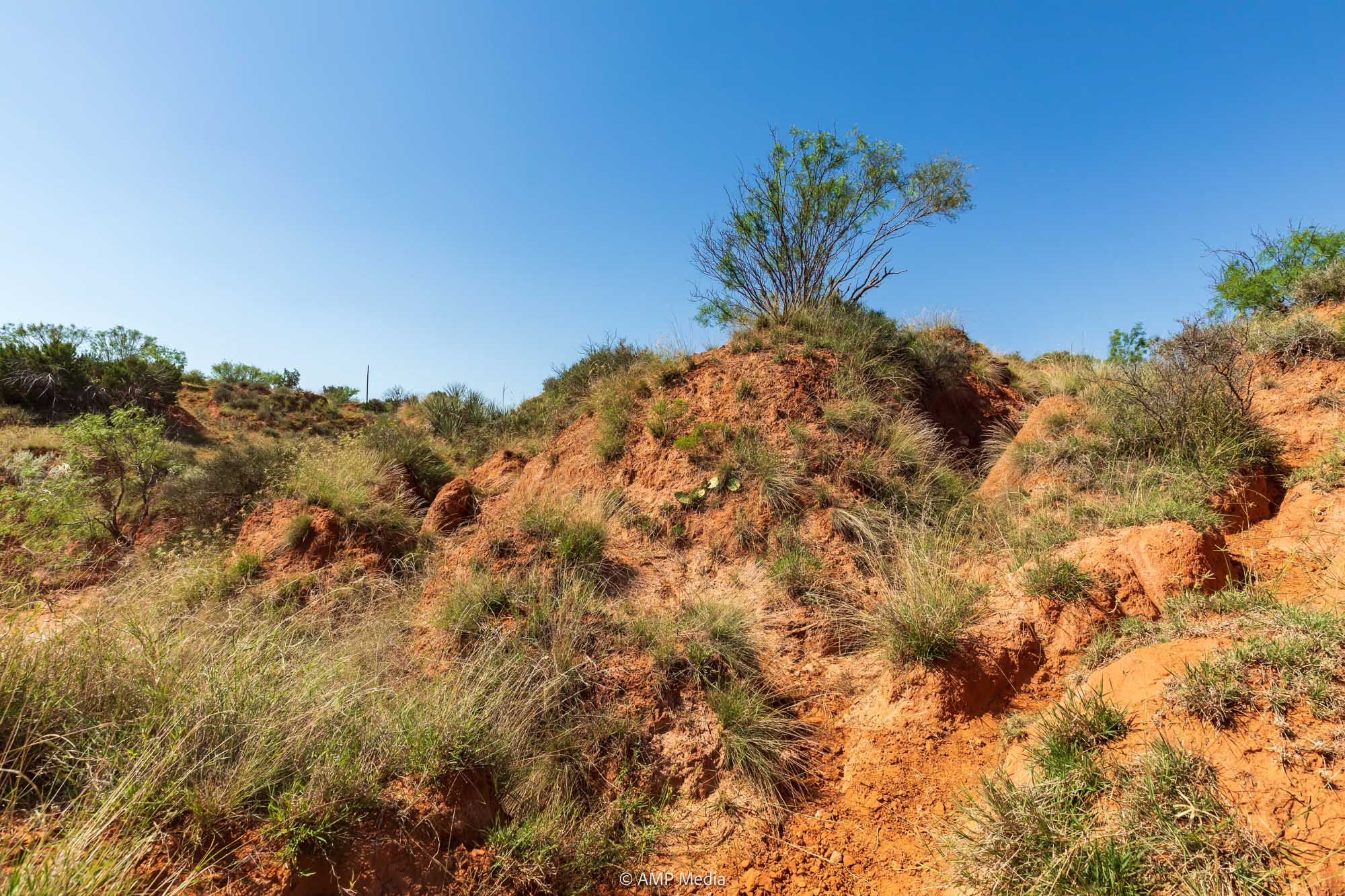 Property Photo 31 Property photograph 31