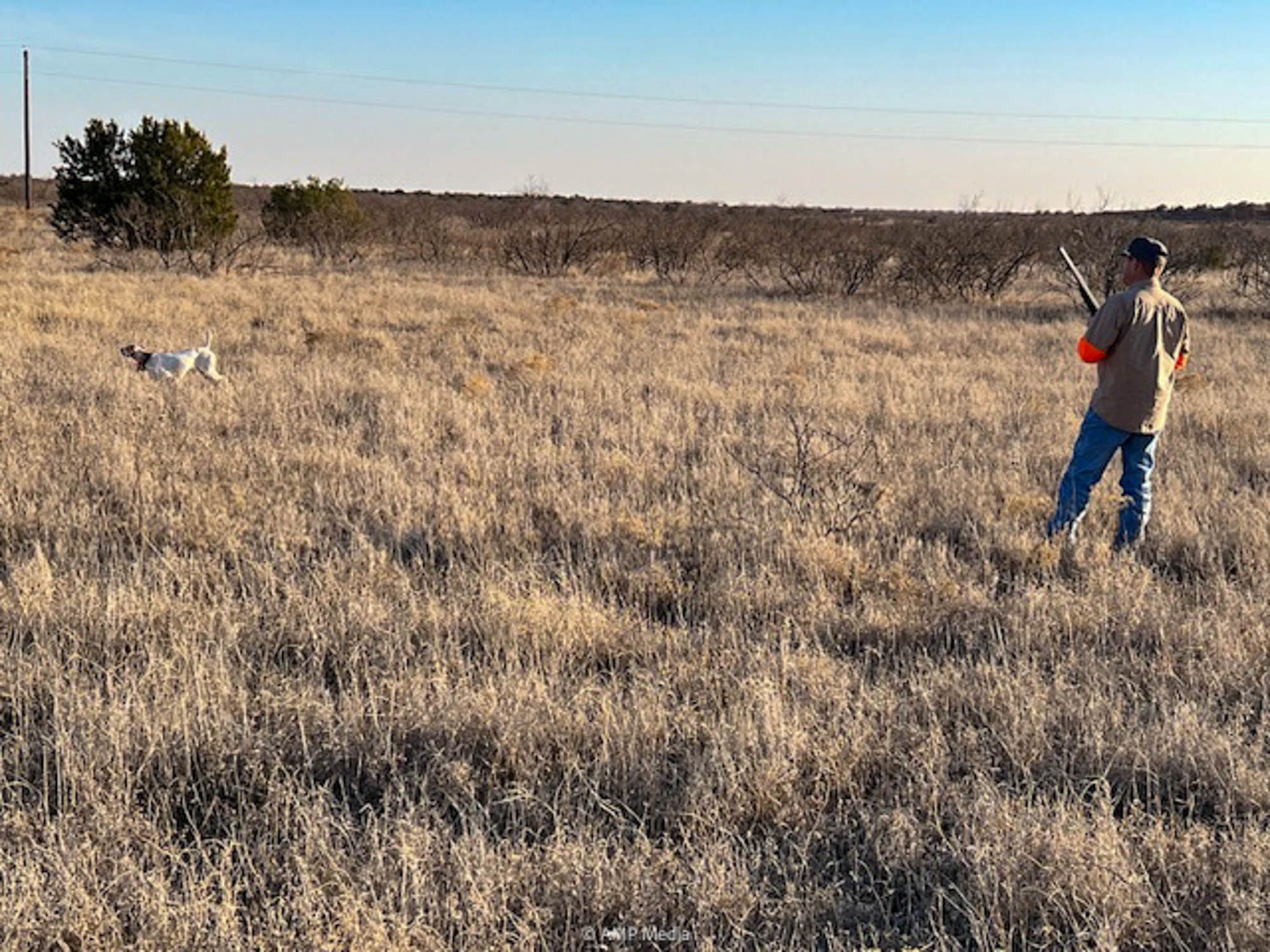 Redden Ranch Quail Hunt - Ekdahl Real Estate