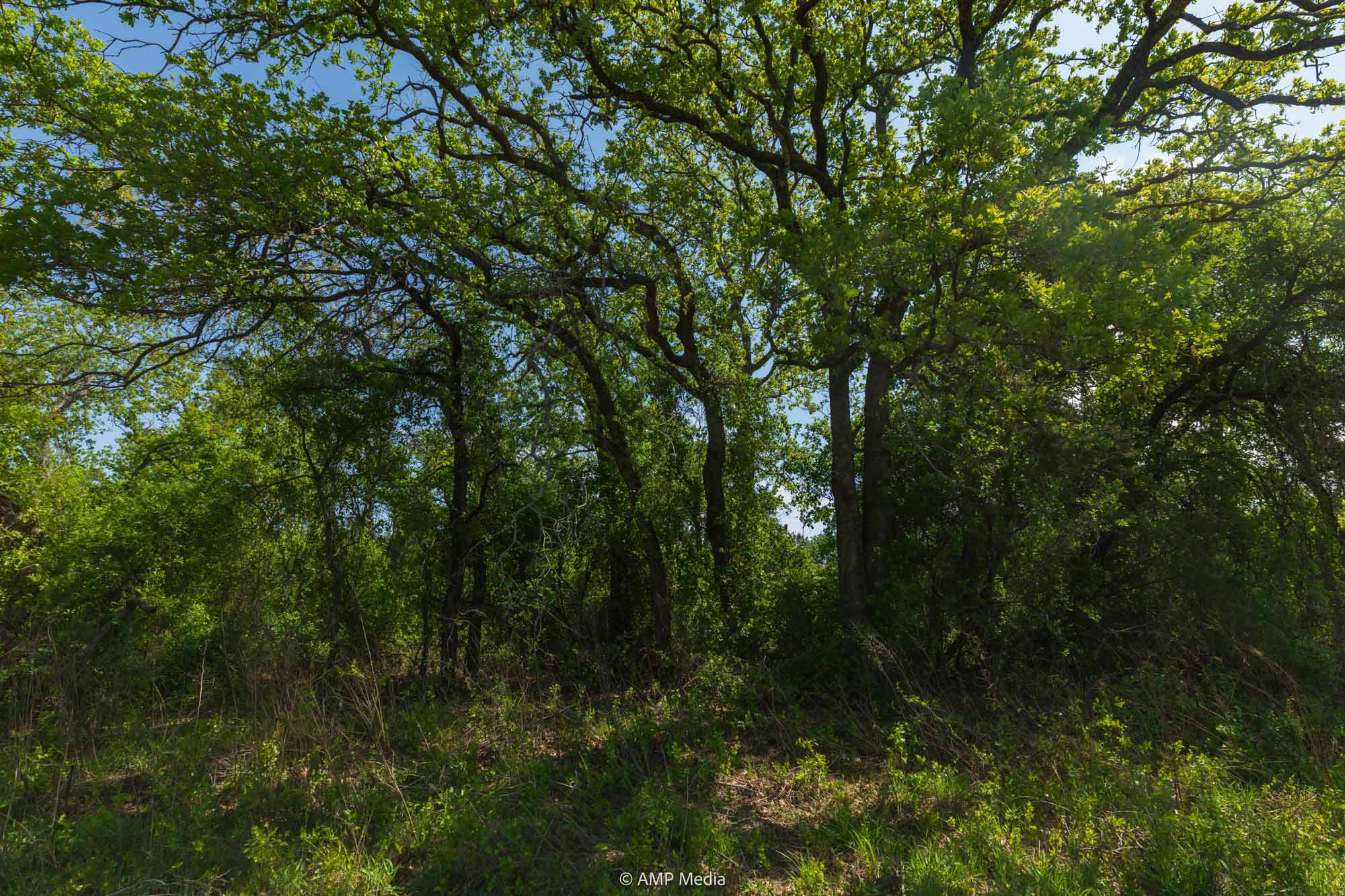 Property Photo 24 Property photograph 24