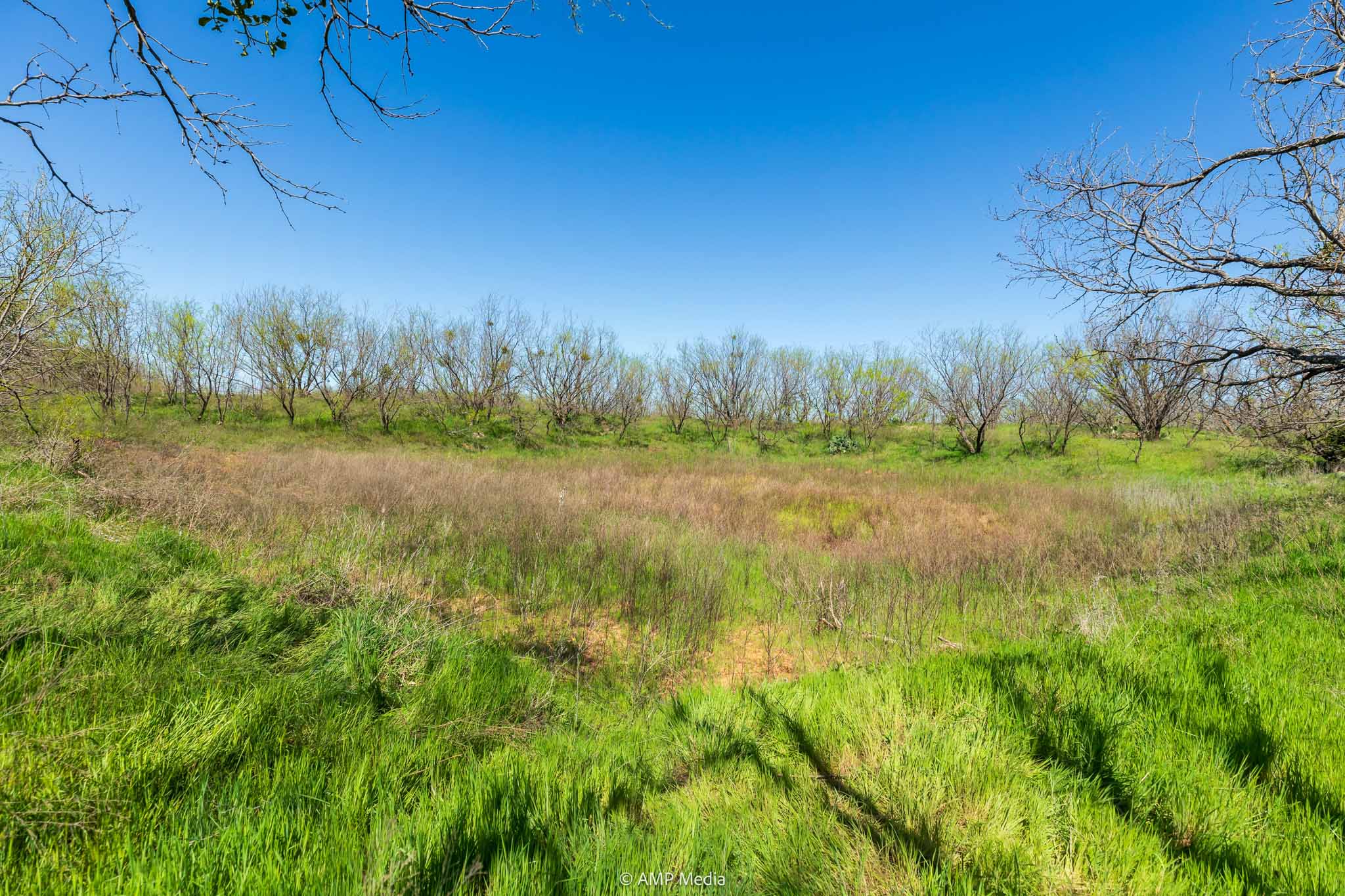 Property Photo 24 Property photograph 24