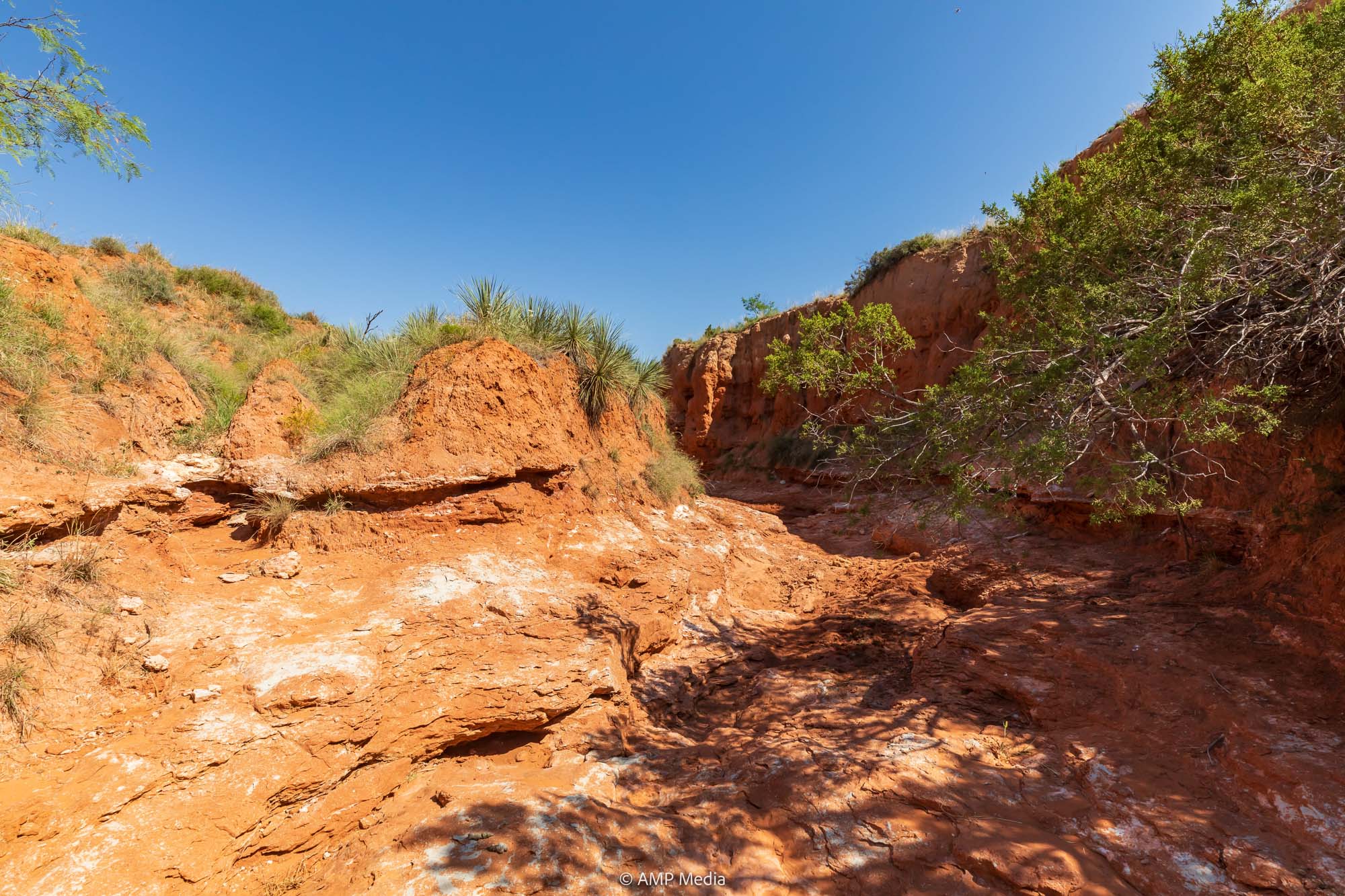 Property Photo 37 Property photograph 37