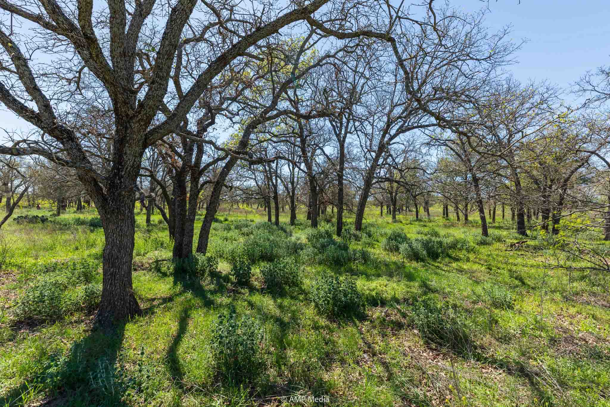 Property Photo 25 Property photograph 25