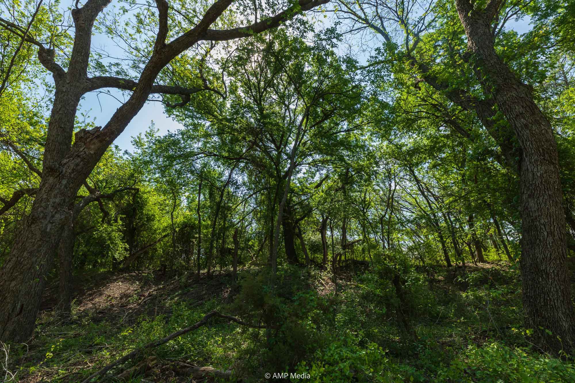 Property Photo 27 Property photograph 27