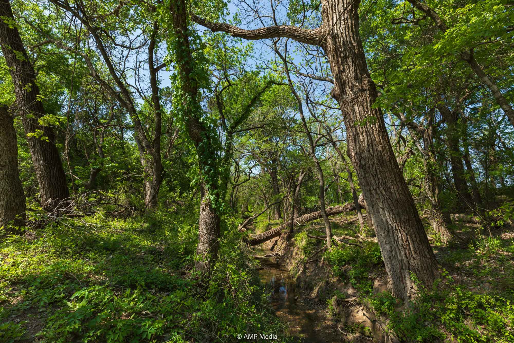 Property Photo 28 Property photograph 28