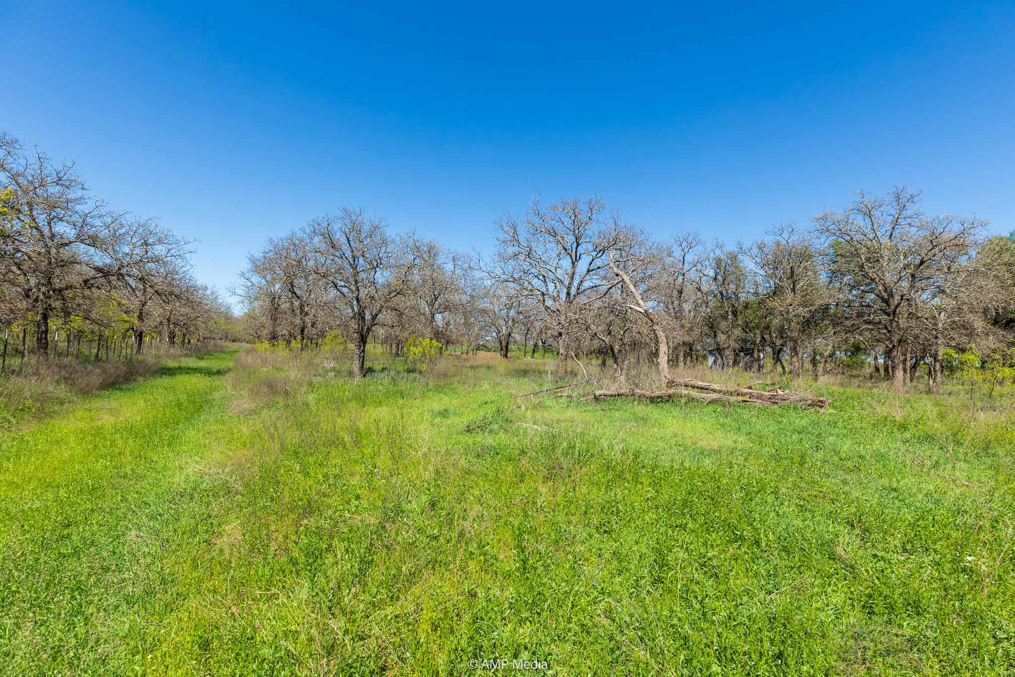 Property Photo 29 Property photograph 29