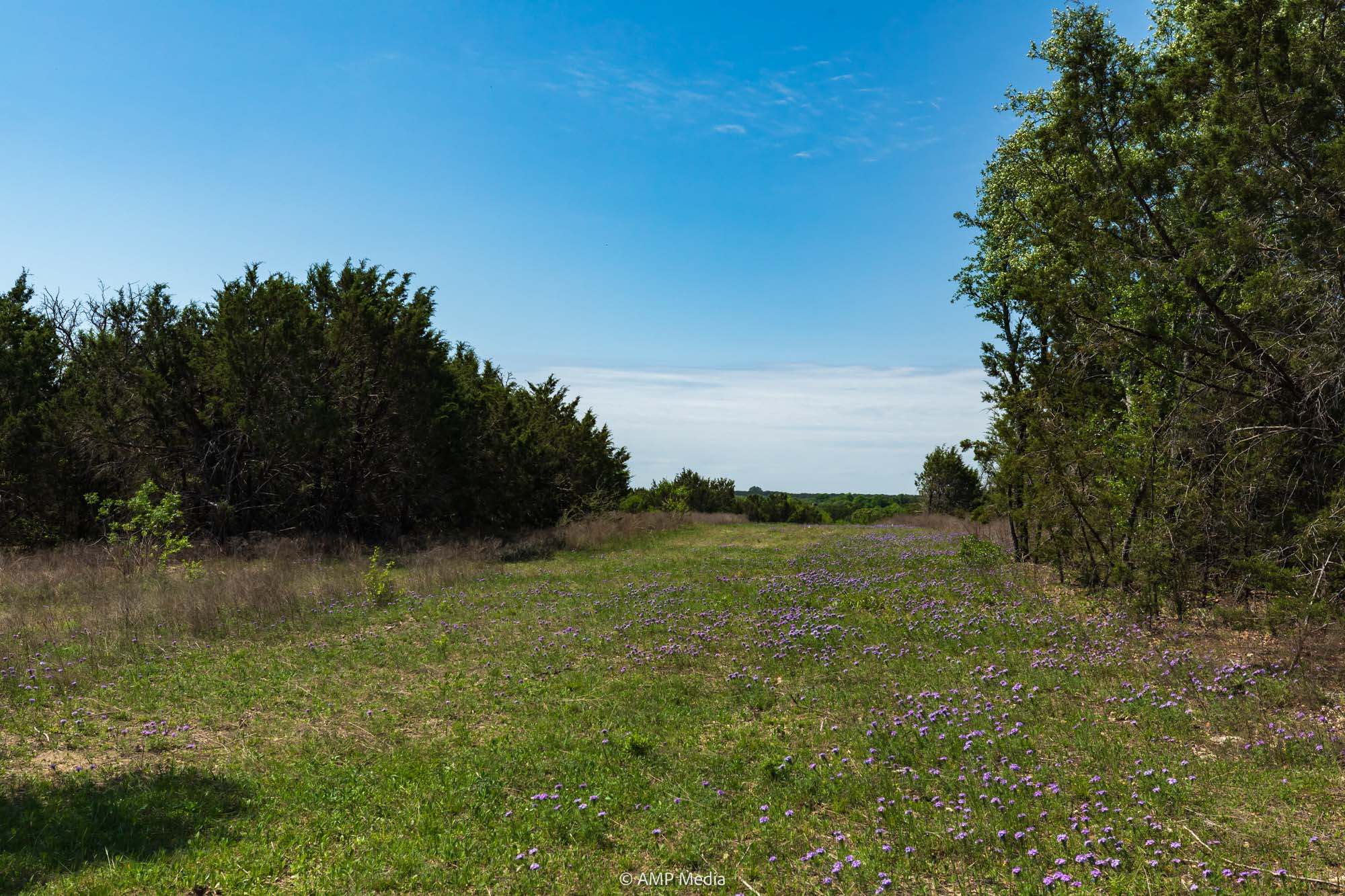 Property Photo 30 Property photograph 30