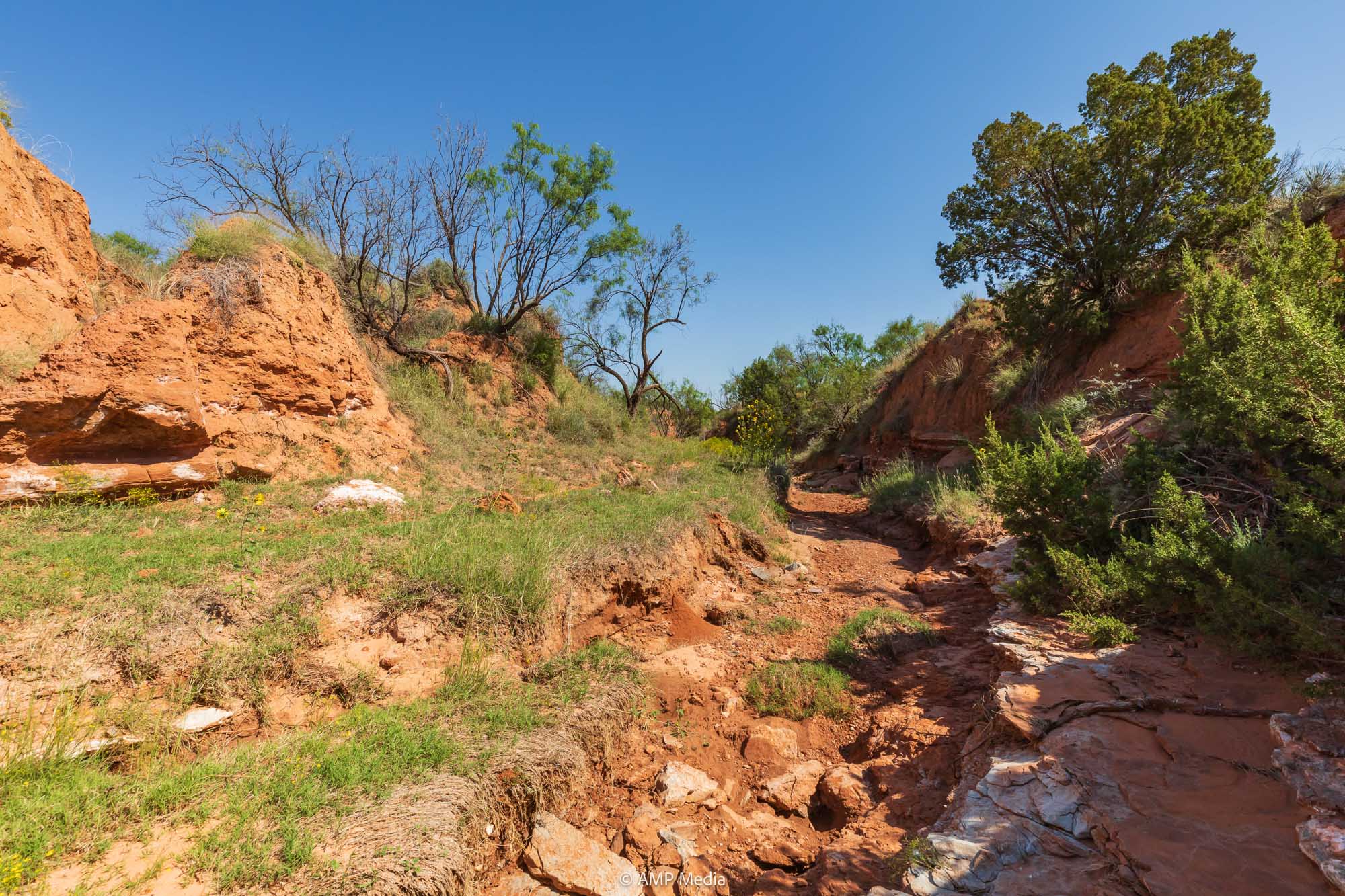 Property Photo 45 Property photograph 45