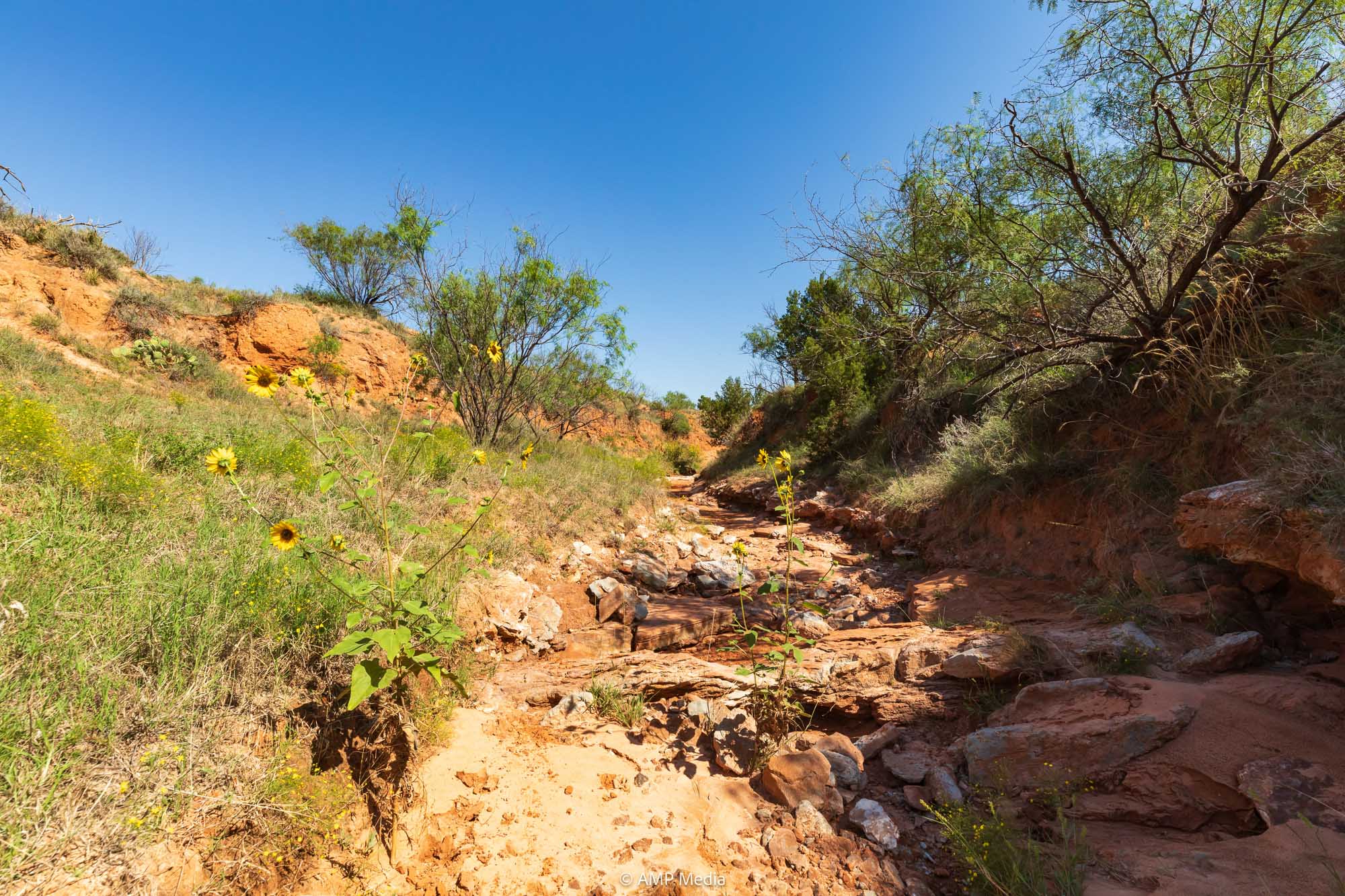 Property Photo 49 Property photograph 49