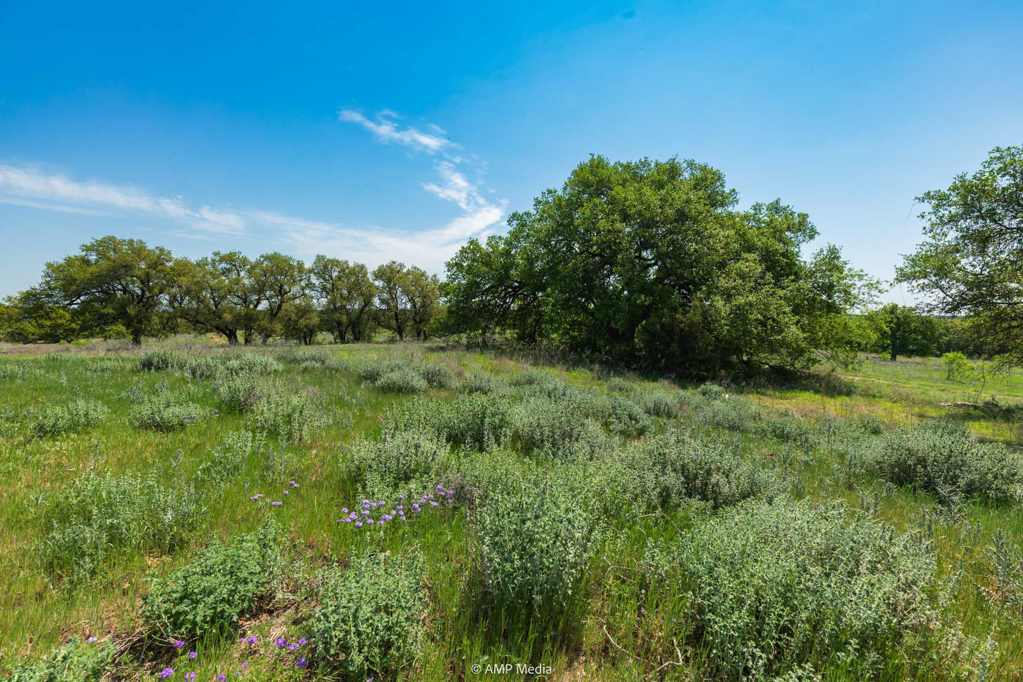 Property Photo 33 Property photograph 33