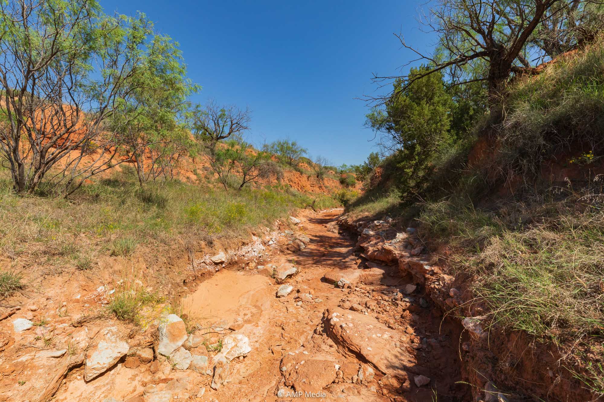 Property Photo 50 Property photograph 50