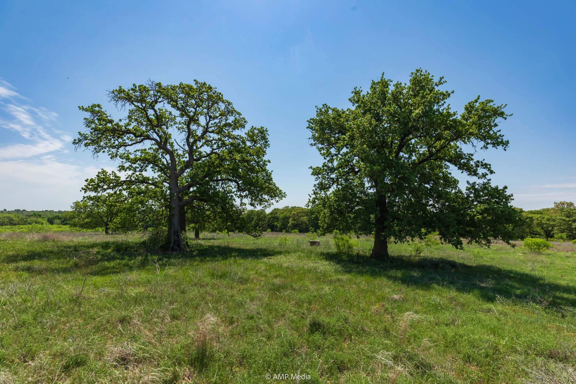 Property Photo 34 Property photograph 34