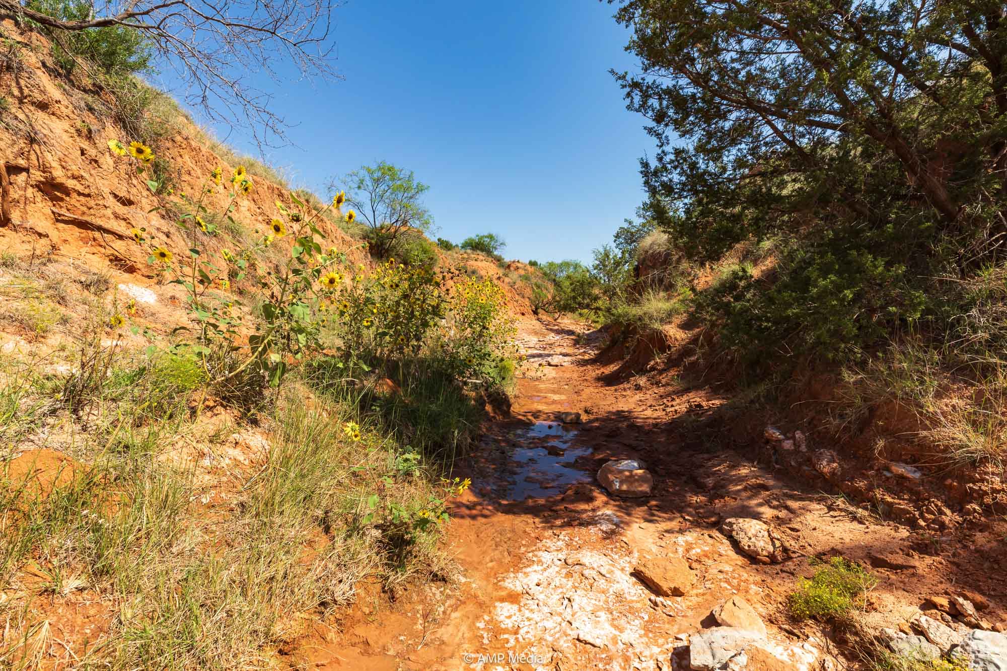 Property Photo 51 Property photograph 51
