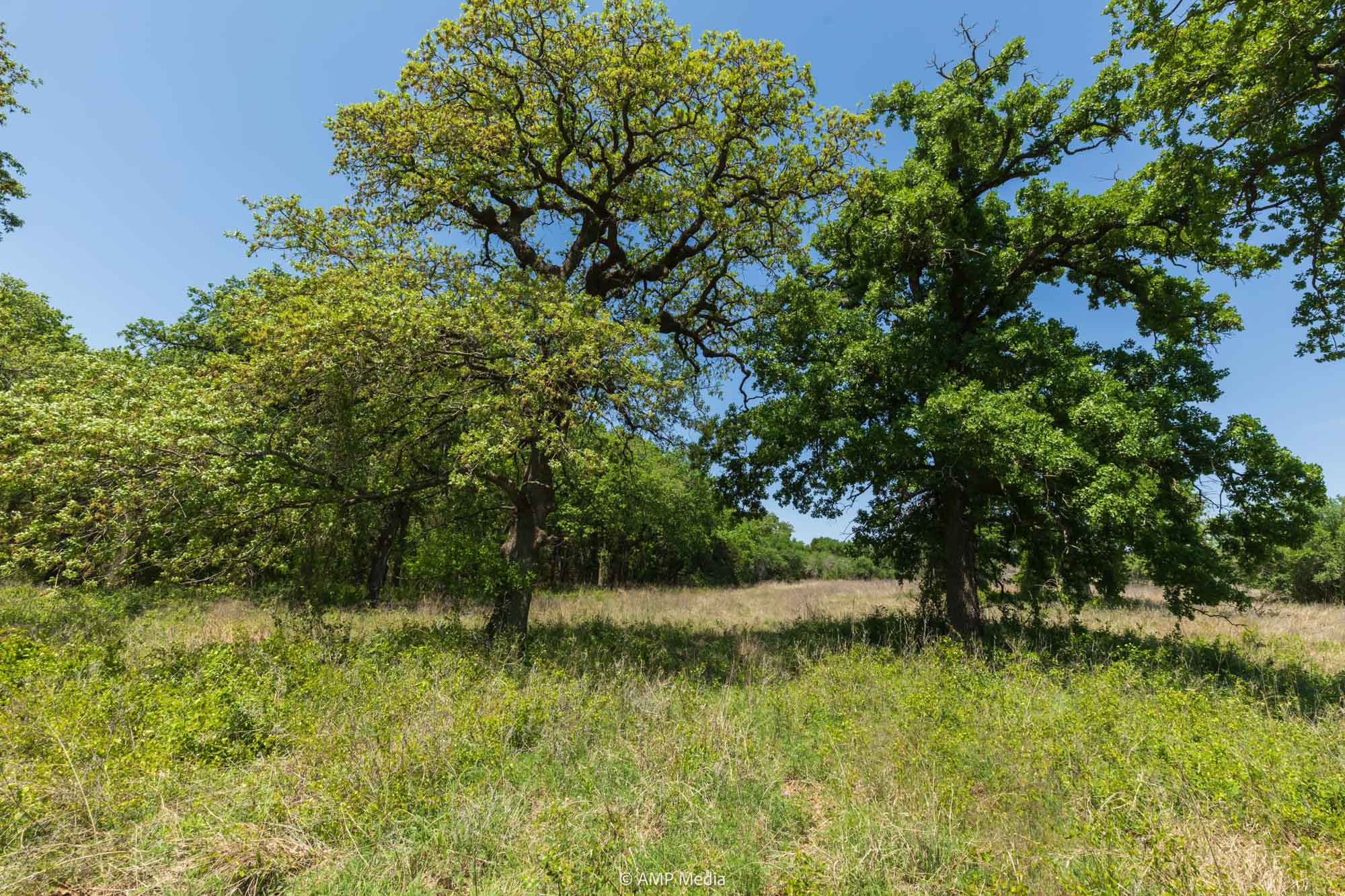 Property Photo 41 Property photograph 41