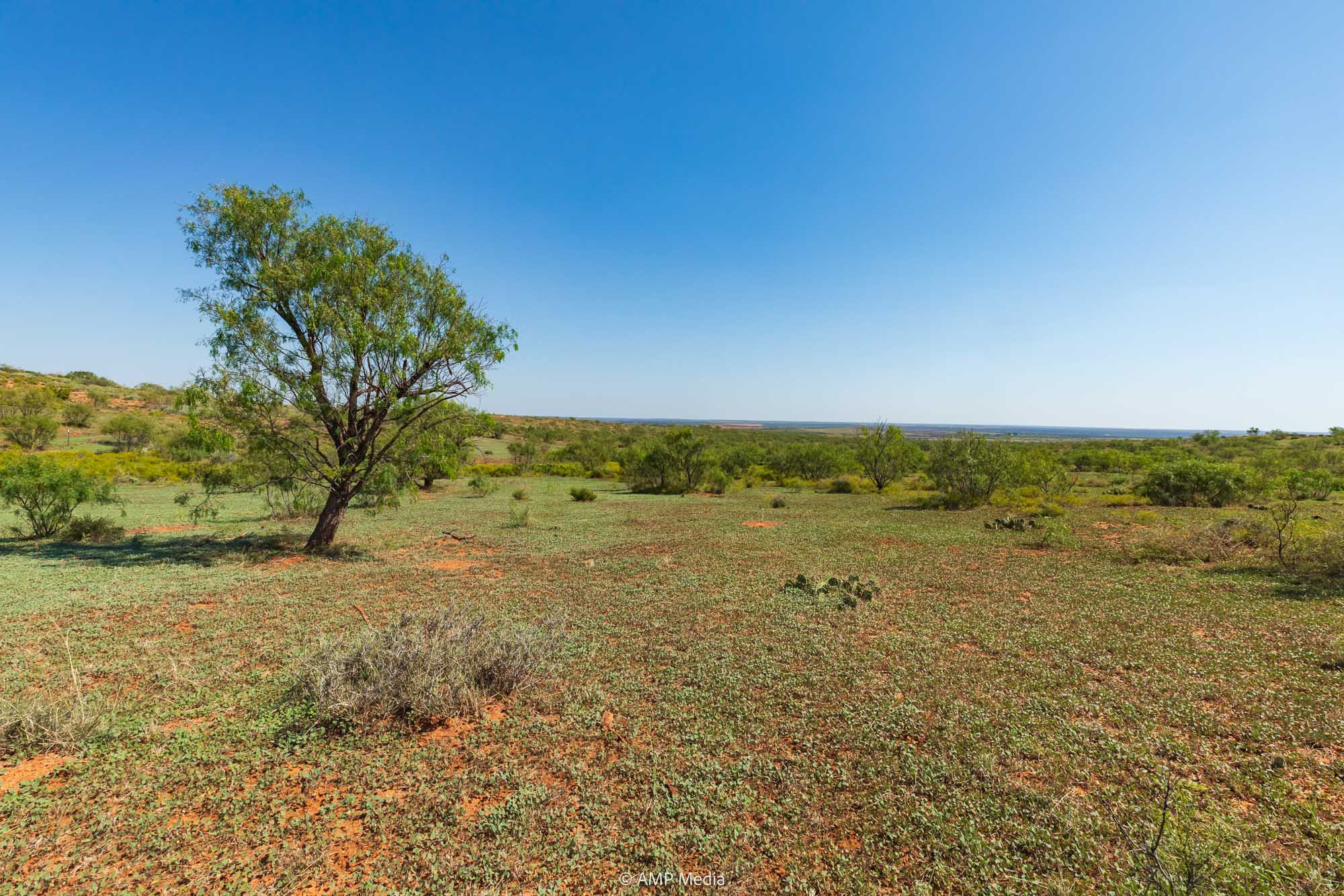 Property Photo 59 Property photograph 59
