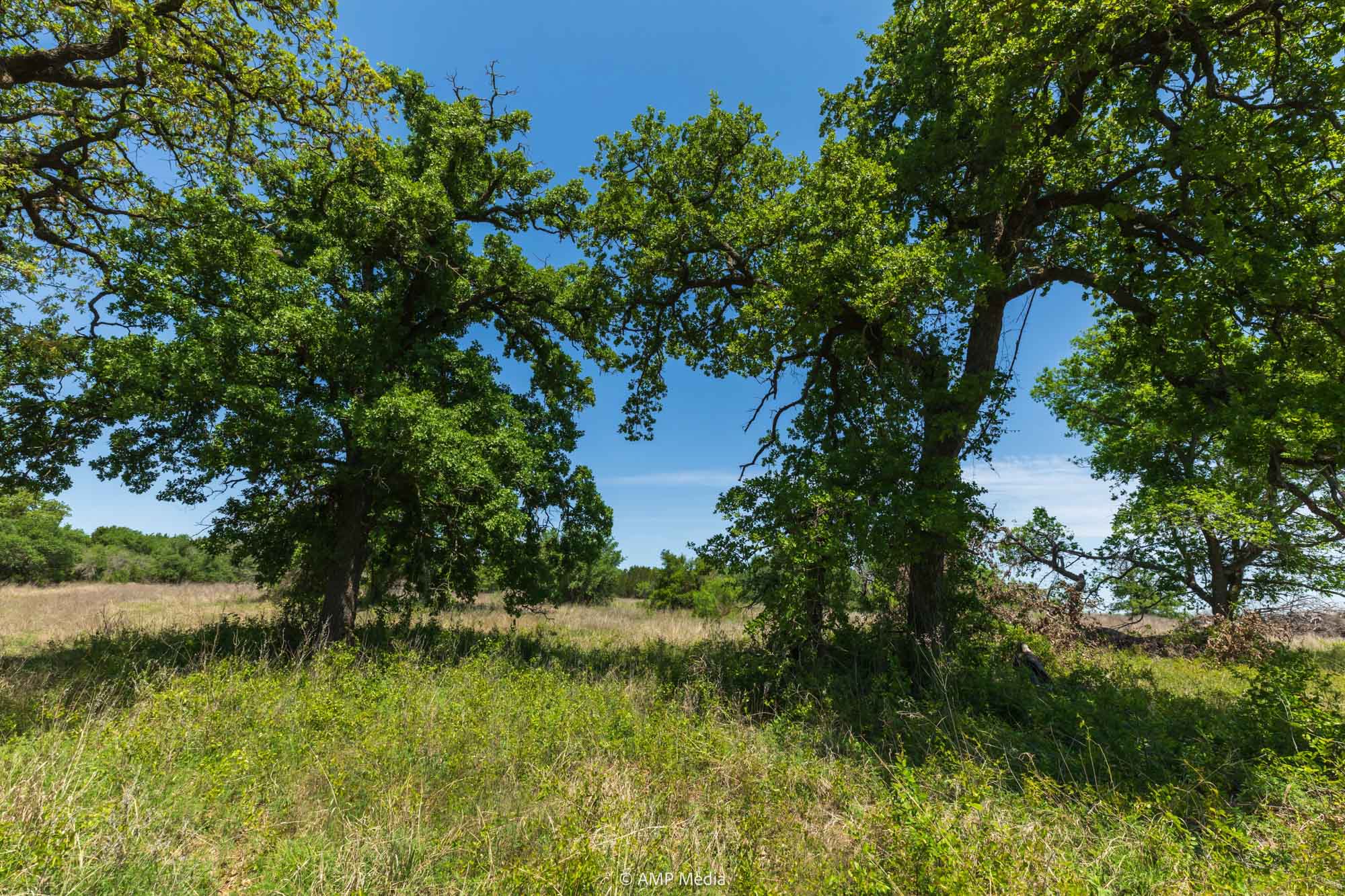 Property Photo 42 Property photograph 42