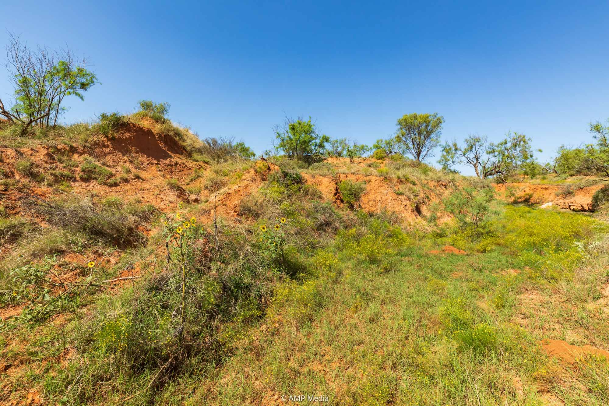 Property Photo 72 Property photograph 72