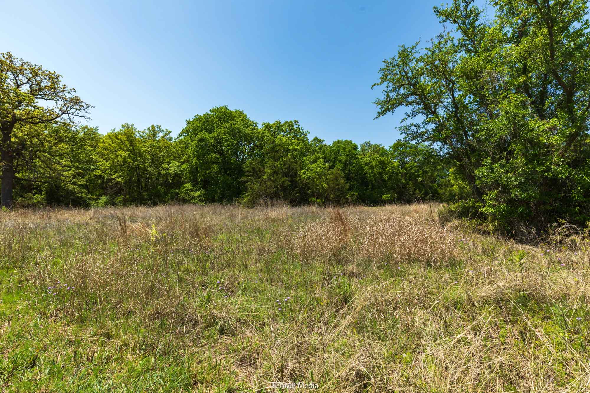 Property Photo 44 Property photograph 44