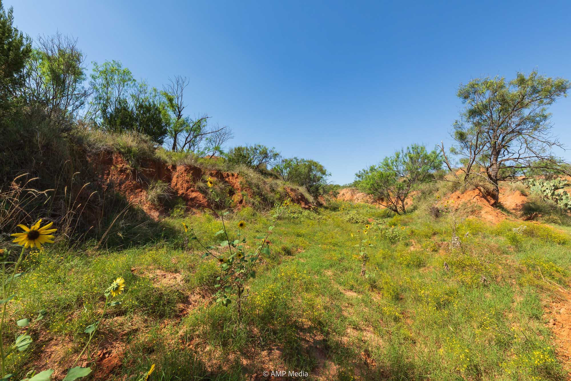 Property Photo 73 Property photograph 73