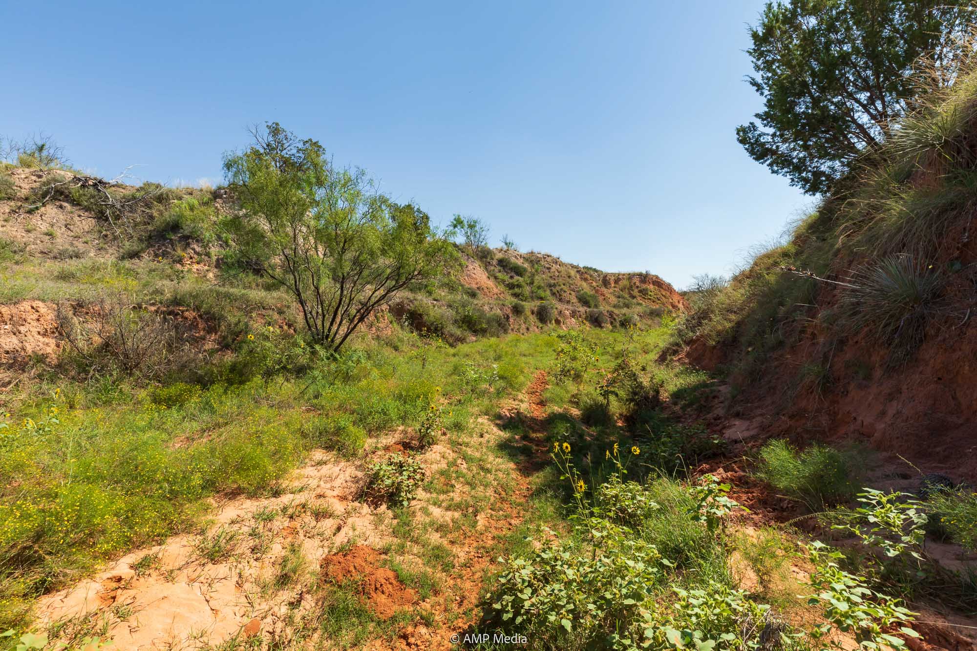 Property Photo 75 Property photograph 75