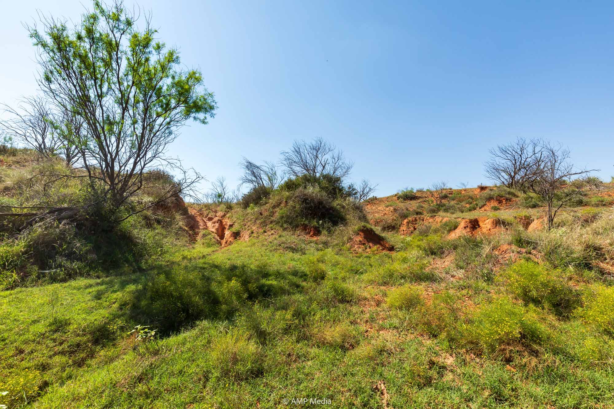 Property Photo 76 Property photograph 76
