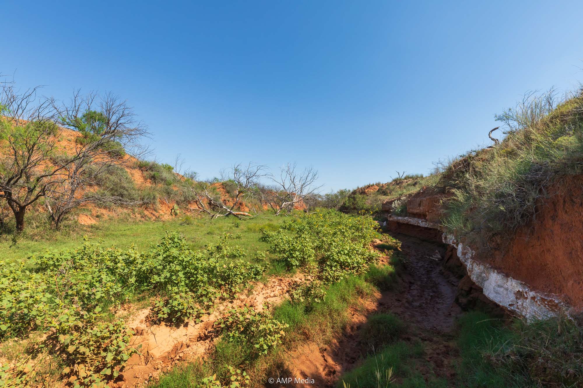 Property Photo 77 Property photograph 77