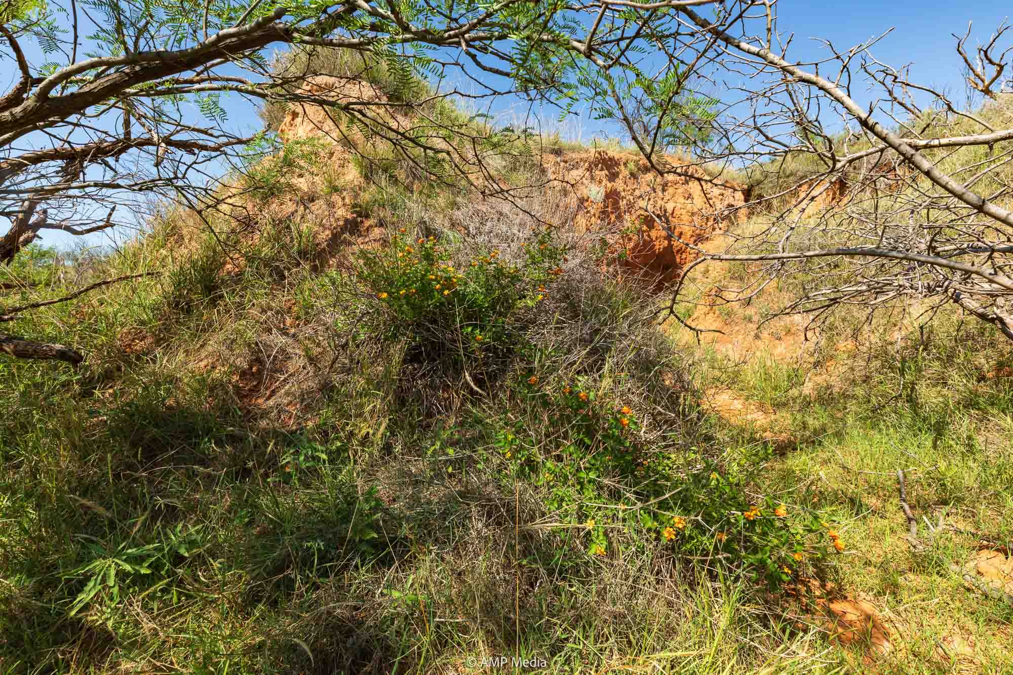 Property Photo 86 Property photograph 86