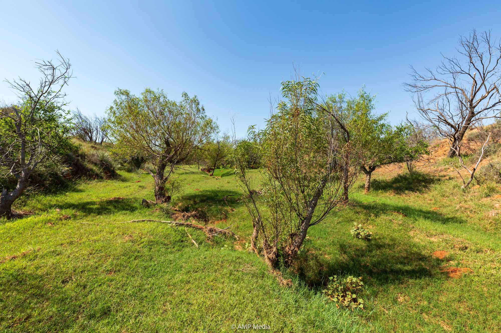 Property Photo 87 Property photograph 87