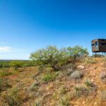 Texas Hunting Land - Ekdahl Real Estate