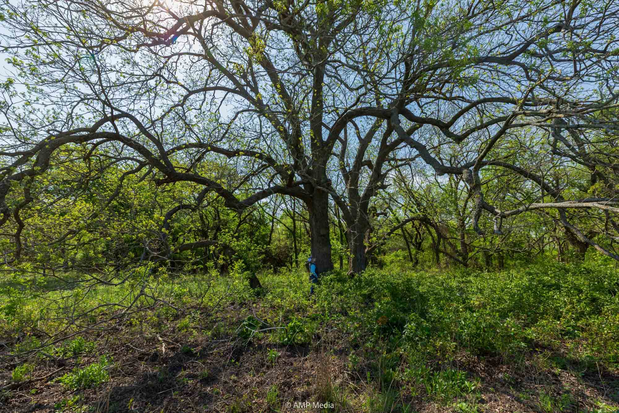 Property Photo 05 Property photograph 05