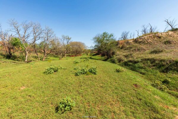 Property photograph 01