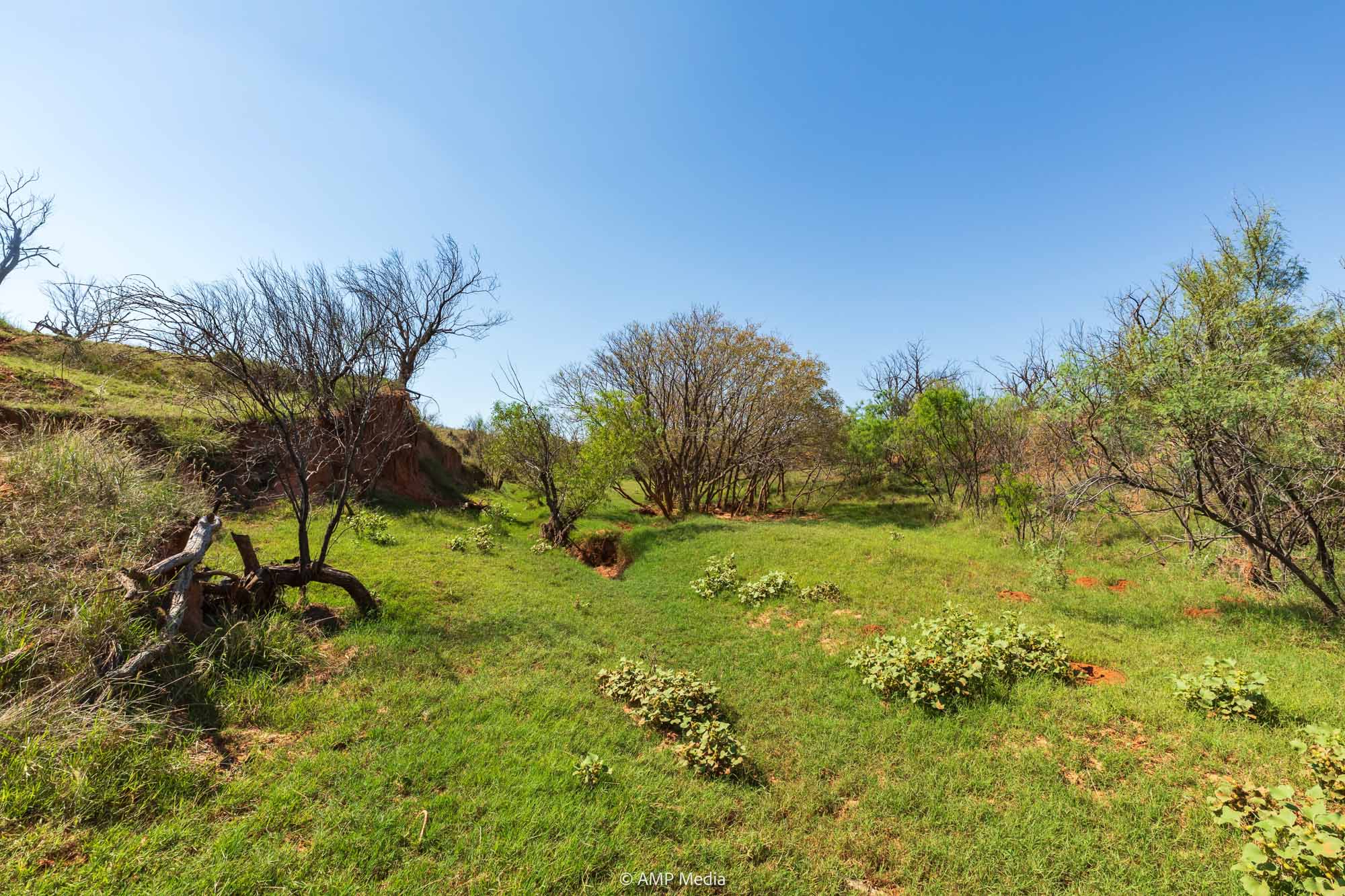 Property Photo 91 Property photograph 91