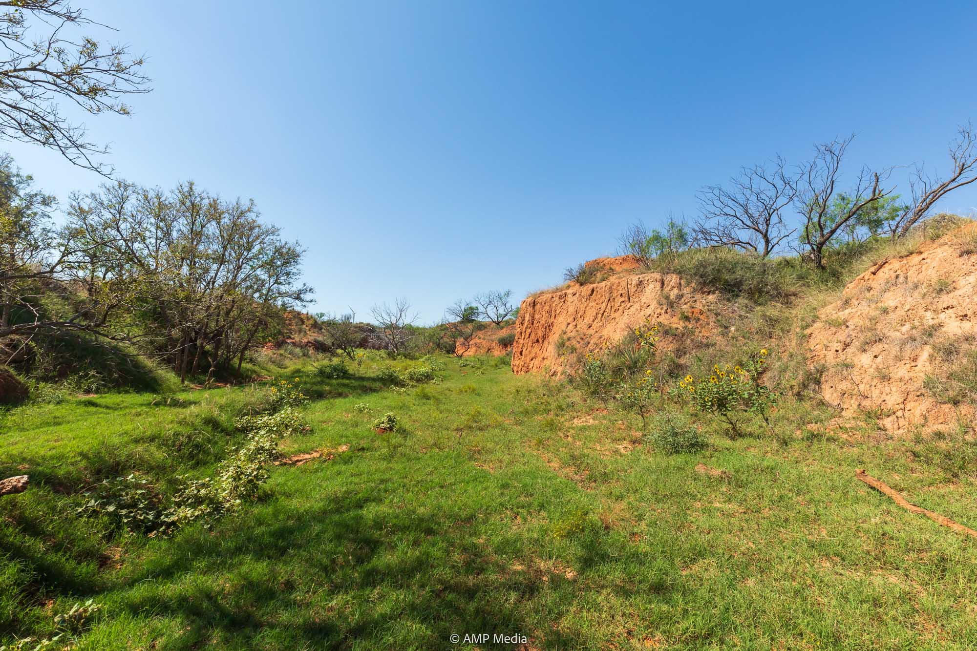 Property Photo 95 Property photograph 95