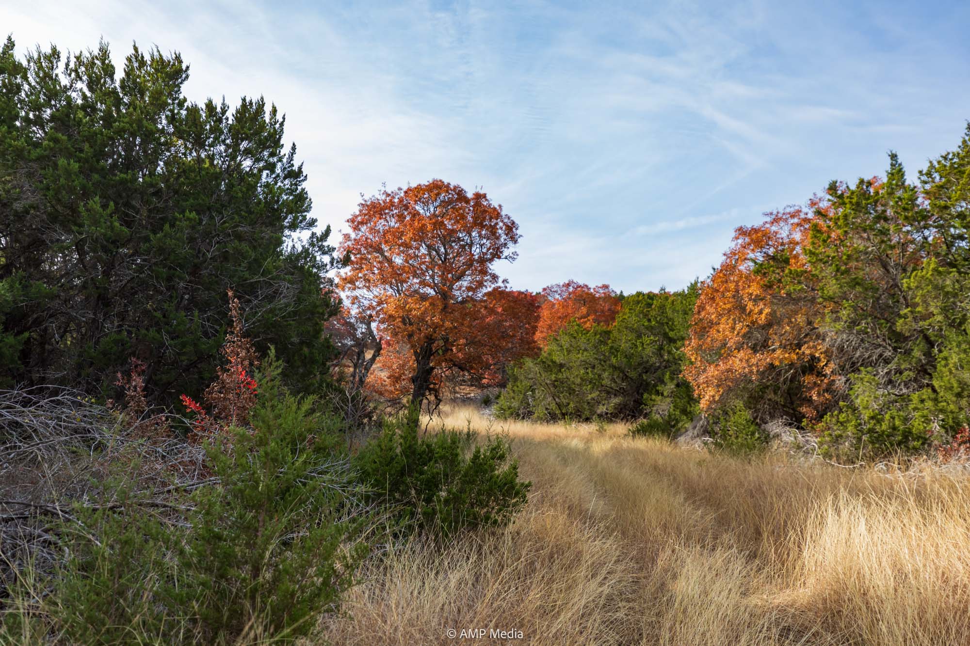 Property Photo 53 Property photograph 53
