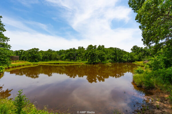 Property photograph 53