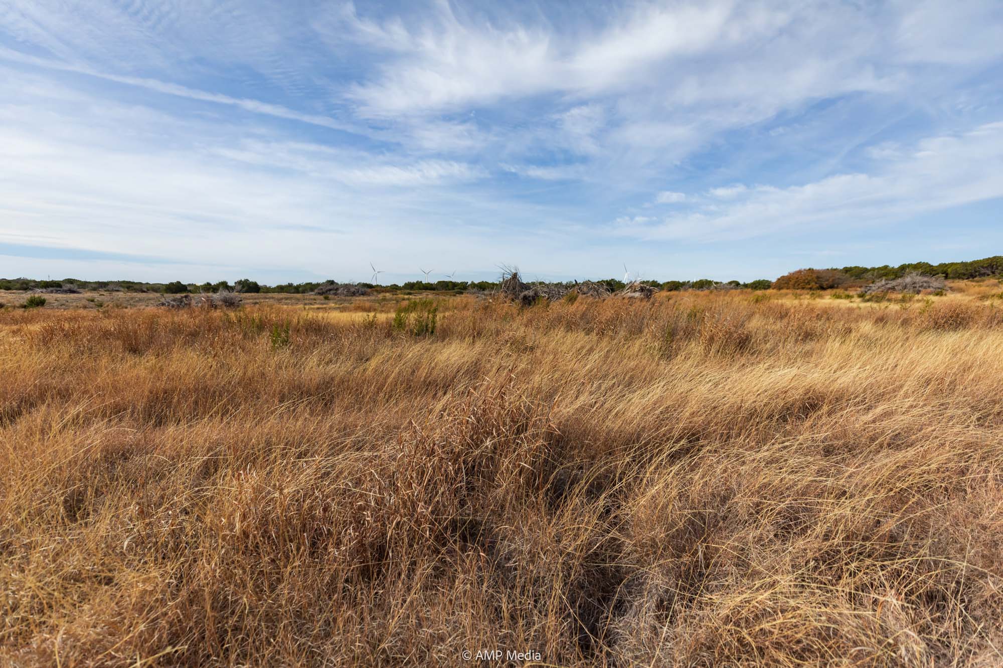 Property Photo 59 Property photograph 59