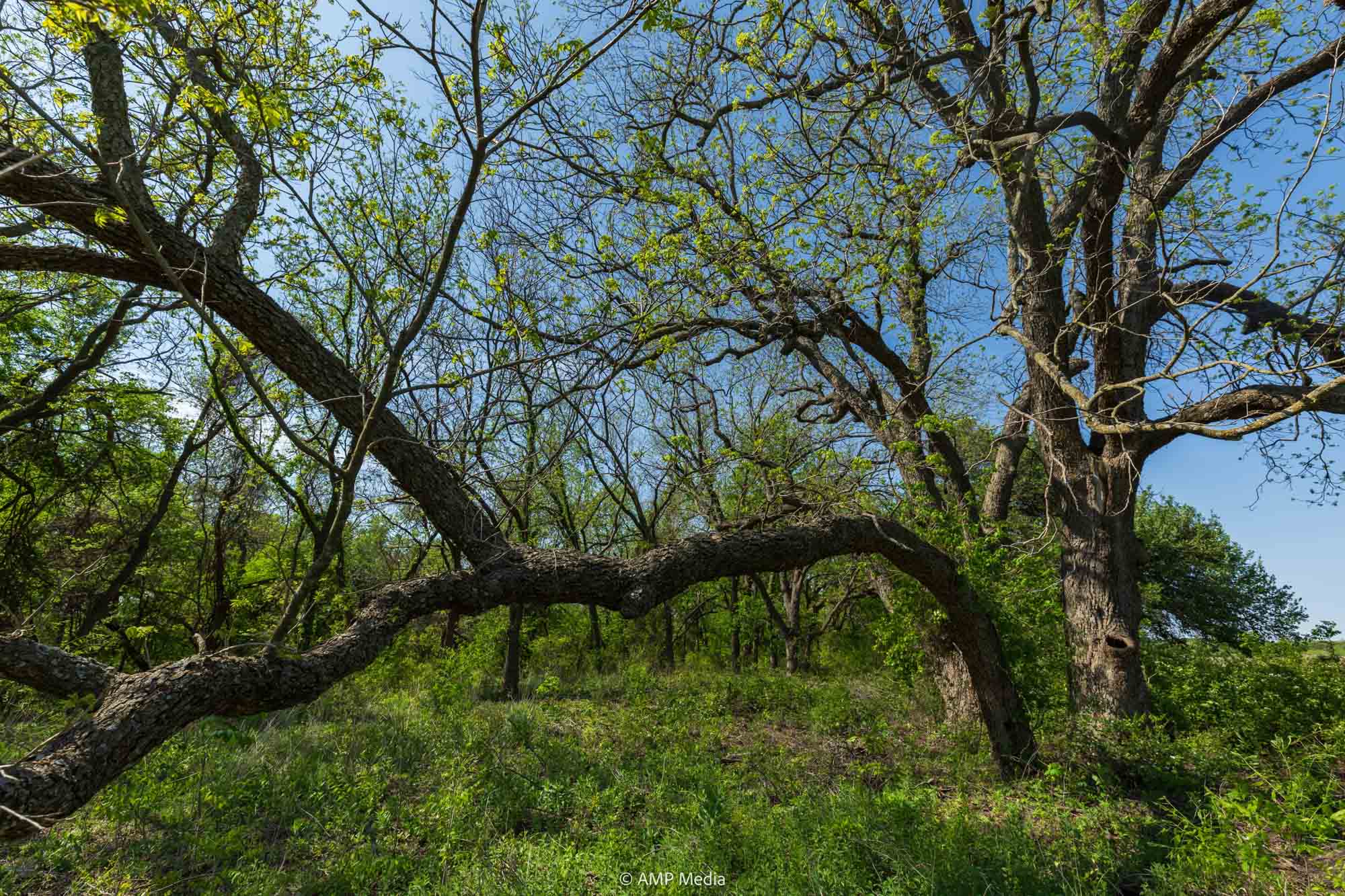 Property Photo 06 Property photograph 06