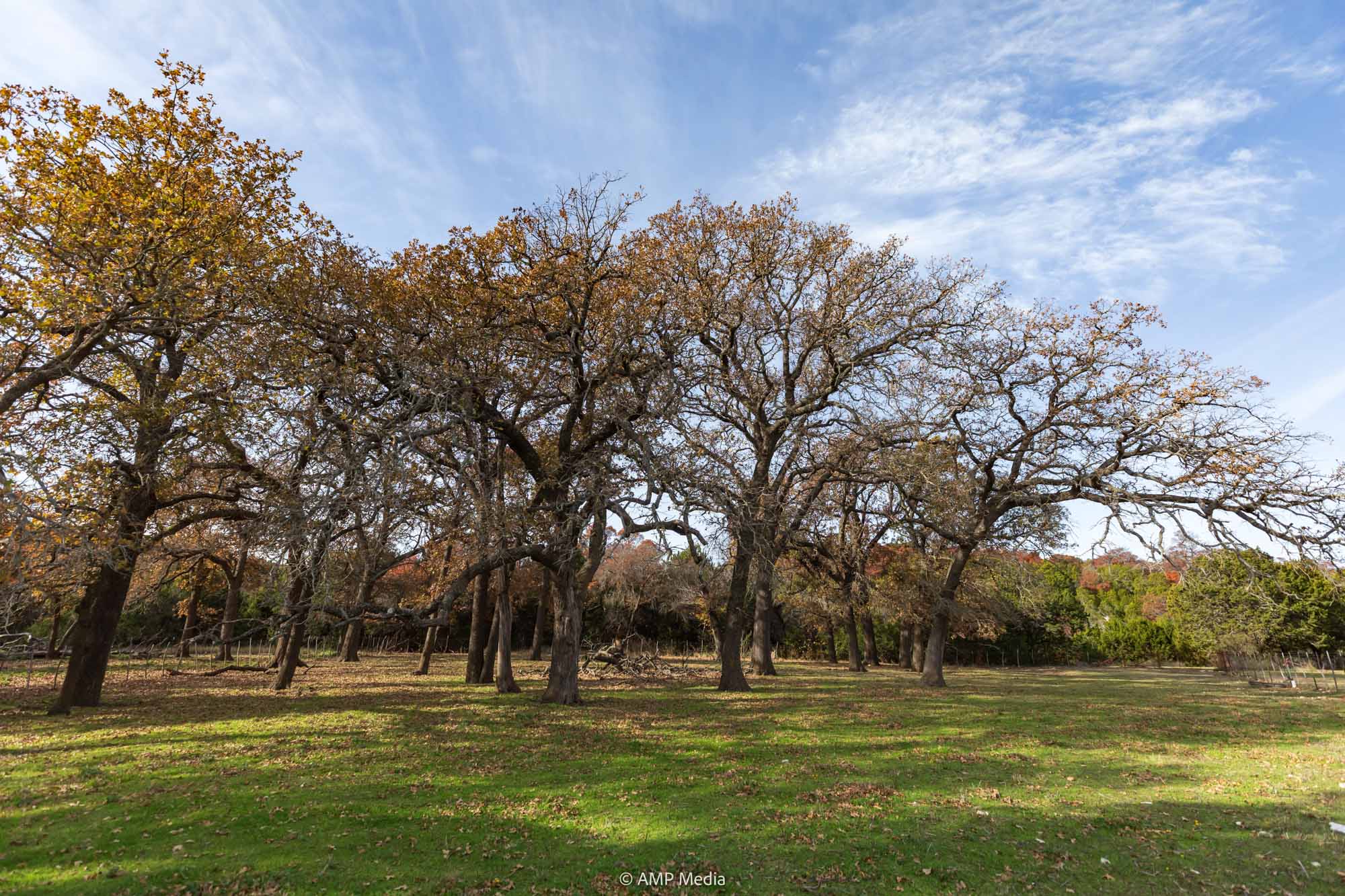 Property Photo 06 Property photograph 06